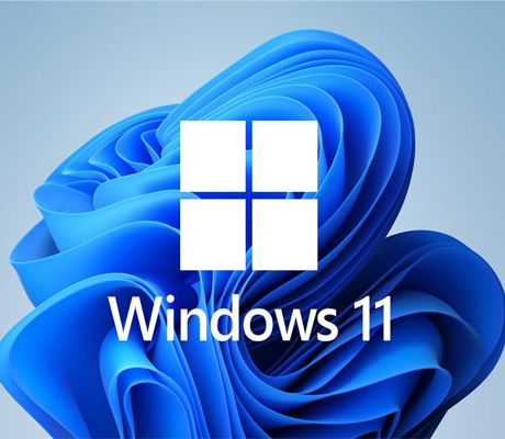 Informationen zu Microsoft Windows 11