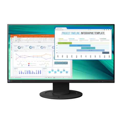 EIZO EV2451